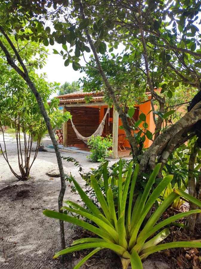 Pousada Quintal Dos Sonhos Xando Caraíva Exterior photo